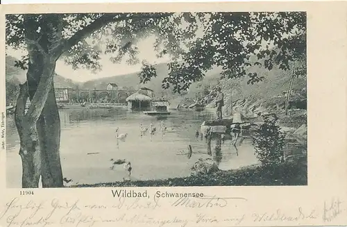 Bad Wildbad Partie am Schwanensee gl1904 133.518