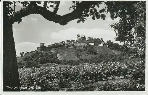 Neu-Leiningen Panorama von Osten ngl 131.483