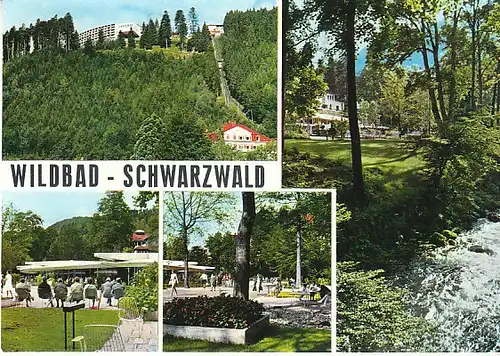 Gruß aus Wildbad Schwarzwald Mehrbildkarte ngl C1072