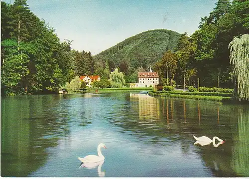 Bad Bergzabern Schwanenweiher ngl C1801