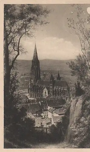 Freiburg i.Br. Blick auf das Münster feldpgl1917 C3956
