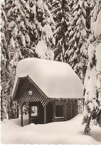 Freudenstadt Schwarzwald Waldhütte gl1964? C1261