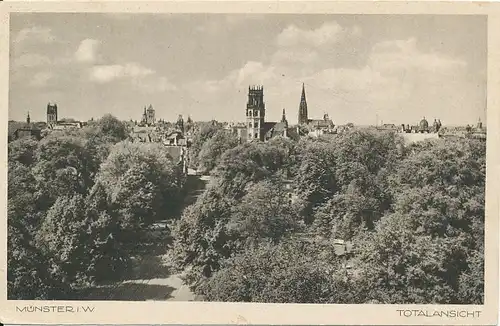 Münster Panorama ngl 132.867