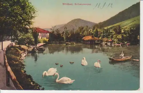 Bad Wildbad Schwanensee gl1912 206.498