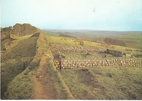 Roman Wall at Housestead Mile Castle NHLD ngl C2788