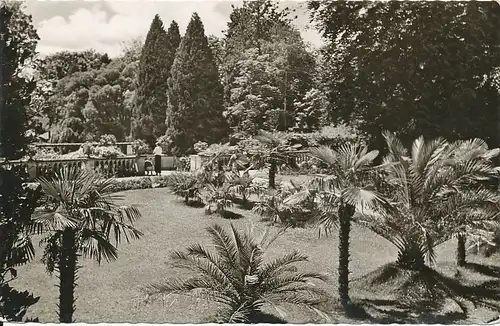 Insel Mainau Palmenhain ngl 133.256