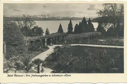 Insel Mainau Palmengarten ngl 133.287