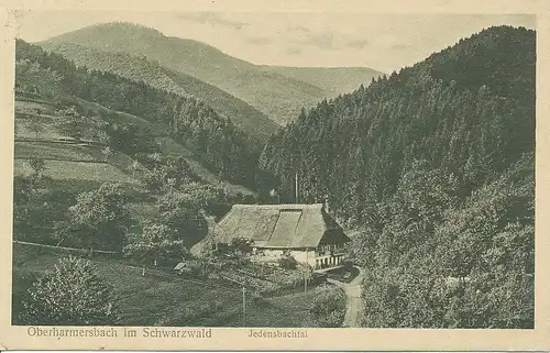 Oberharmersbach Jedensbachtal glca.1935 133.091