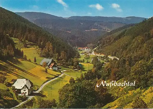 Blick ins Nußbachtal gl1990 133.151