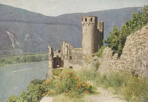 Burgruine Ehrenfels in Rüdesheim / Rhein gl1956 136.061