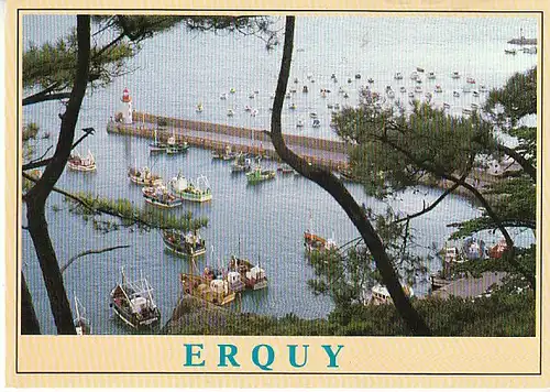 Erquy (Bretagne) Le Port vu du Noirmont gl1992 C1628