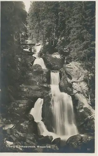 Triberg Wasserfall ngl 133.222