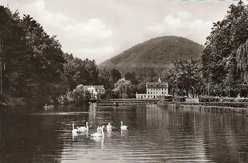 Bad Bergzabern Pfalz Schwanenweiher gl1974? C4996