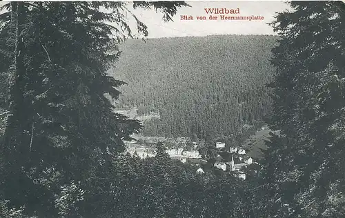 Bad Wildbad Blick v.d. Hermannsplatte gl1907 133.492