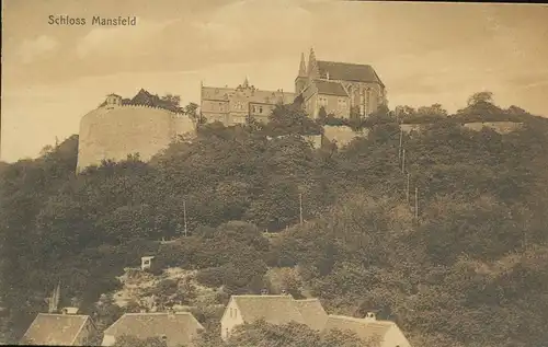 Schloss Mansfeld im Harz ngl 135.949