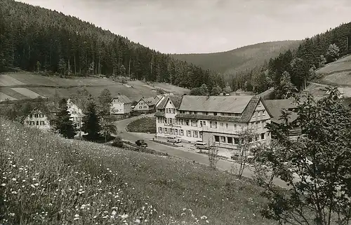 Enzklösterle Gasthof zum Enzursprung gl1959 133.696