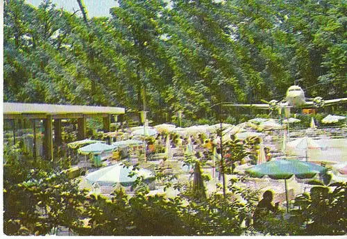 Timisoara Restaurant Padurea Verde ngl C1661