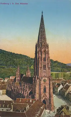 Freiburg Münster ngl 134.459