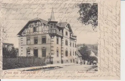 Königsfeld Pension Herzberger gl1905 206.893