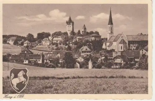 Haag in Oberbayern - Panorama bahnpgl1942 208.017