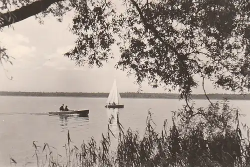 Luftkurort Arendsee Altmark Am See gl1967 C4304