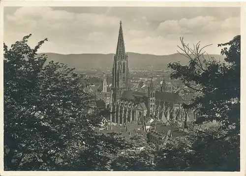 Freiburg Stadtpanorama mit Münster gl1949 134.450