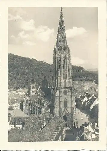 Freiburg Münster ngl 134.472