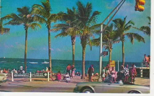 Tropical Fort Lauderdale Beach in Florida ngl 204.340