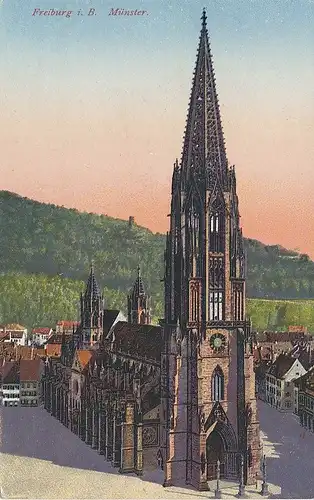 Freiburg Münster ngl 134.454