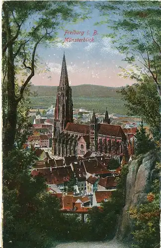 Freiburg Münsterblick ngl 134.476