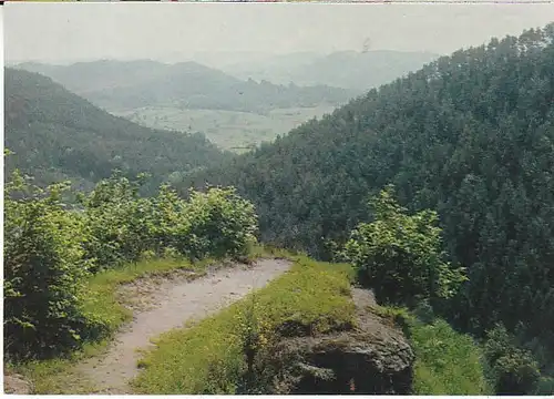 Landschaftsbild bei Dahn/Pfalz ngl C2713