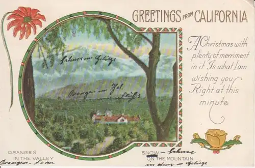 California Oranges in the valley PrägeAK gl1916 204.647