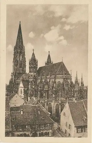 Freiburg Münster ngl 134.515