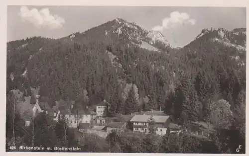 Birkenstein mit Breitenstein gl1952 208.223