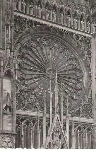 Strasbourg Cathédrale La Rosace ngl C4028