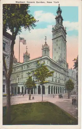 New York Madison Square Garden ngl 204.556