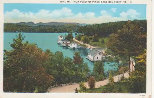 Lake Bomoseen Bird MT fr. point of pines gl1936 204.626
