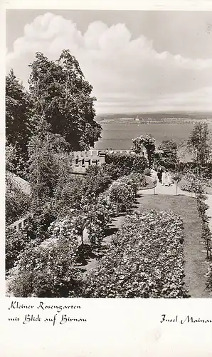 Insel Mainau Rosengarten Blick>Birnau gl1951 C5138