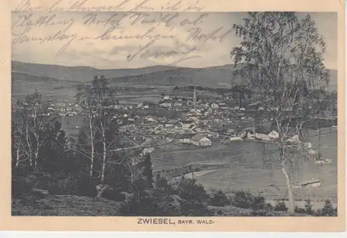 Zwiesel Panorama gl1914 208.753