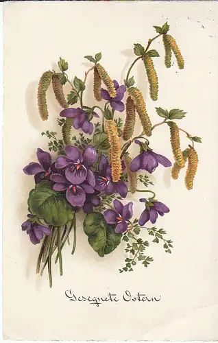 Gesegnete Ostern Veilchen und Kätzchen gl1938 C6966