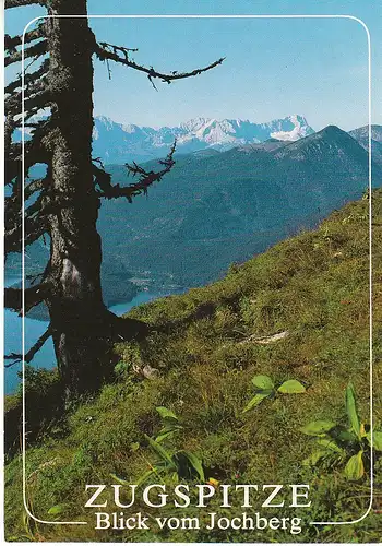 Zugspitze mit Wetterstein Blick vom Jochberg ngl C7071