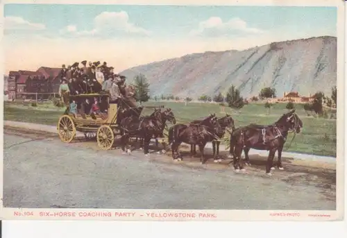 Yellowstone Park Six-Horse Coaching Party ngl 204.620