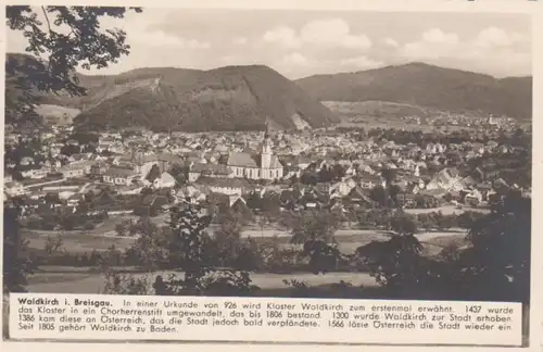 Waldkirch im Breisgau Panorama ngl 207.060