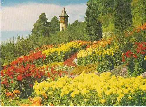 Insel Mainau i.Bodensee Dahliengarten ngl C6032