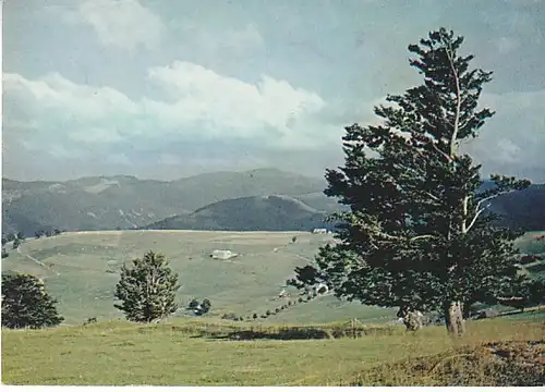 Schwarzwald Blick vom Schauinsland ngl C2850