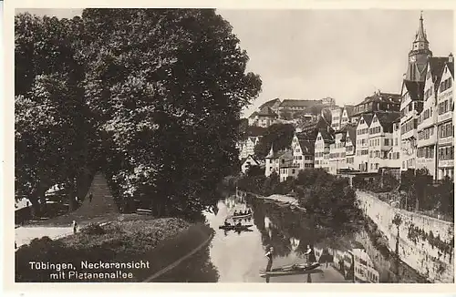 Tübingen Neckaransicht Platanenallee ngl C3625