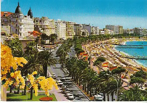 Cannes A.M. Les Palaces de la Croisette ngl C3022