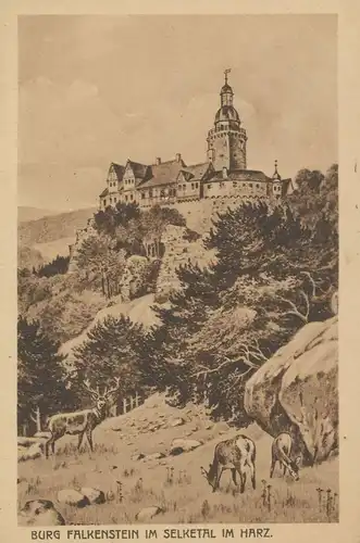 Burg Falkenstein im Selketal im Harz ngl 135.887