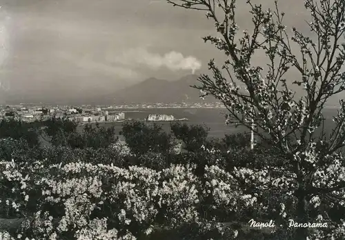 Vulkan: Napoli Panorama gl1952 136.741