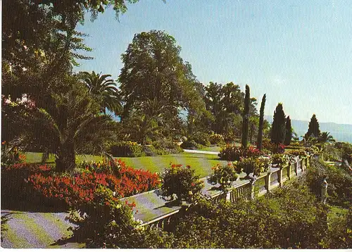 Insel Mainau i.Bodensee Schloßterrasse ngl C6026